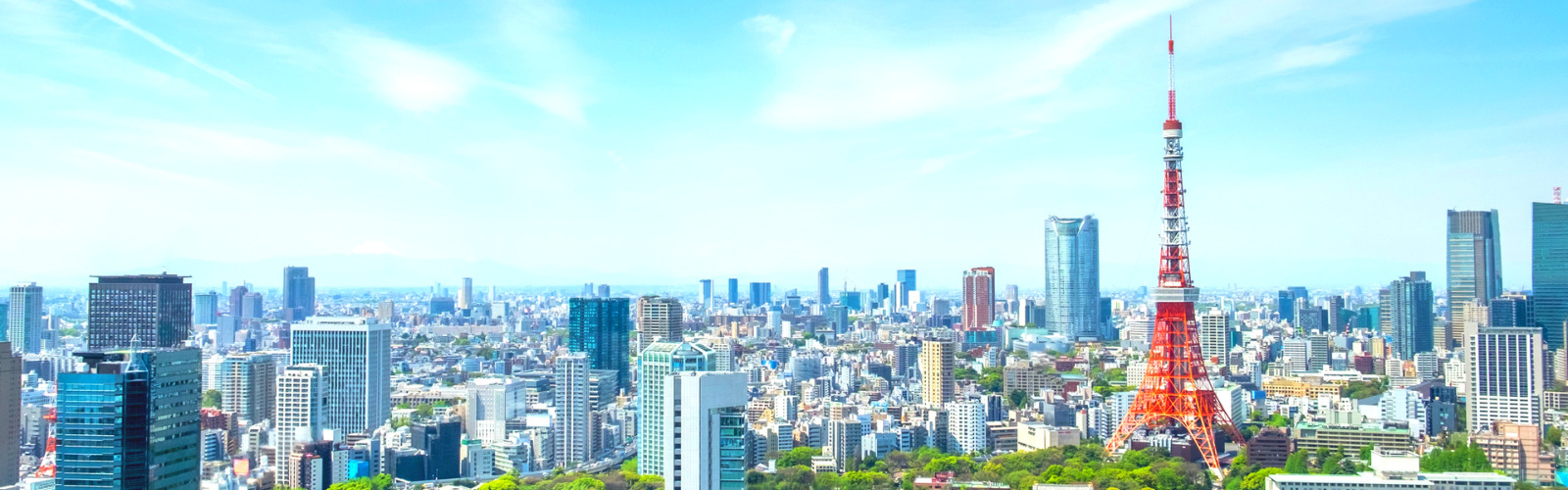 社名変更及びホームページURL変更のお知らせ